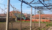 Одноэтажный дом с участком около Бургаса.