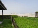 Шикарная квартира с двориком у самого пляжа Оазис 